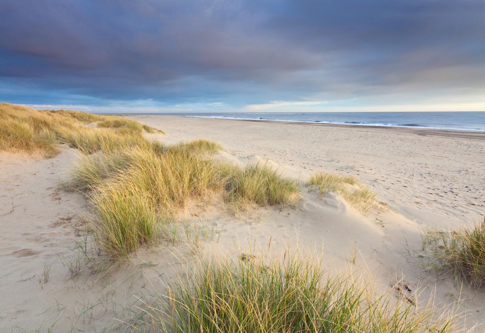 Dog friendly beach holidays Norfolk